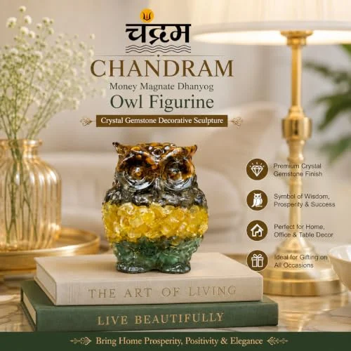 Money Magnate Dhanyog Owl Figurine — Crystal & Pyrite Showpiece — view 5