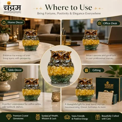 Money Magnate Dhanyog Owl Figurine — Crystal & Pyrite Showpiece — view 6