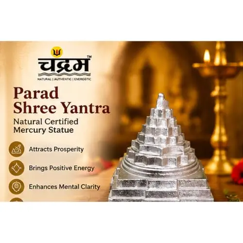 Parad Mercury Shree Yantra — Certified, 60 g by Chandram — photo 5 of 8