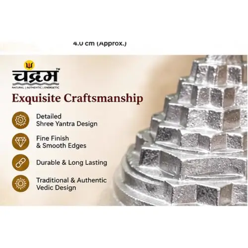 Parad Mercury Shree Yantra — Certified, 60 g by Chandram — photo 6 of 8