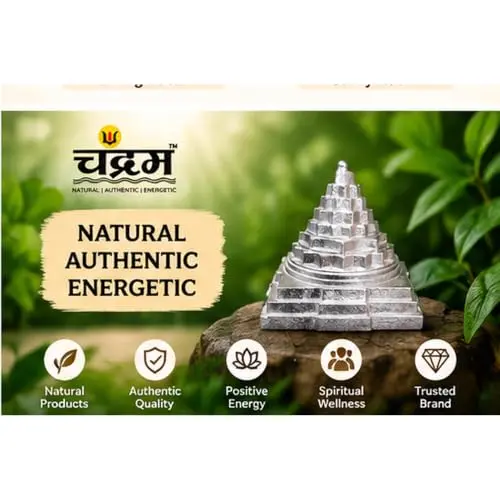 Parad Mercury Shree Yantra — Certified, 60 g by Chandram — photo 7 of 8