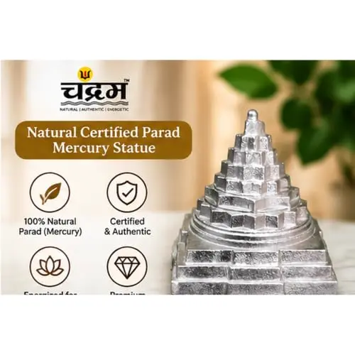Parad Mercury Shree Yantra — Certified, 60 g by Chandram — photo 8 of 8